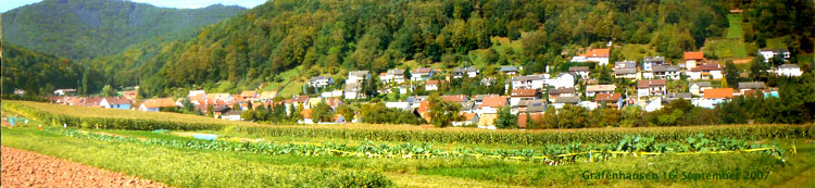 Panoramablick auf die Sommerseite von Gräfenhausen